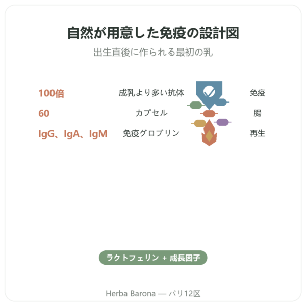 コロストラム（初乳） – SIHO – 60カプセル benefits and key facts Paris Herba Barona
