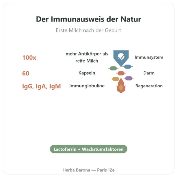 Colostrum – SIHO – 60 Kapseln Vorteile und Fakten Paris Herba Barona