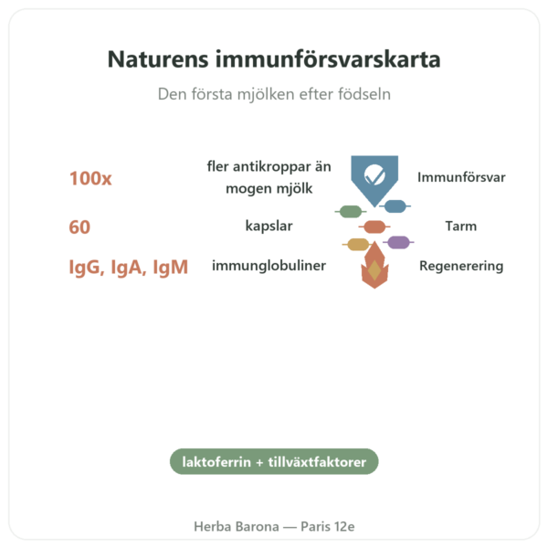 Colostrum – SIHO – 60 kapslar fördelar och nyckelfakta Paris Herba Barona