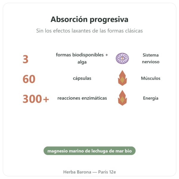 Complejo Magnesio – Nutrimuscle – 60 Cápsulas beneficios y datos clave Paris Herba Barona