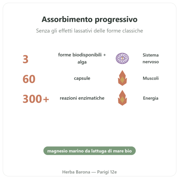 Complesso Magnesio – Nutrimuscle – 60 capsule benefici e dati chiave Paris Herba Barona