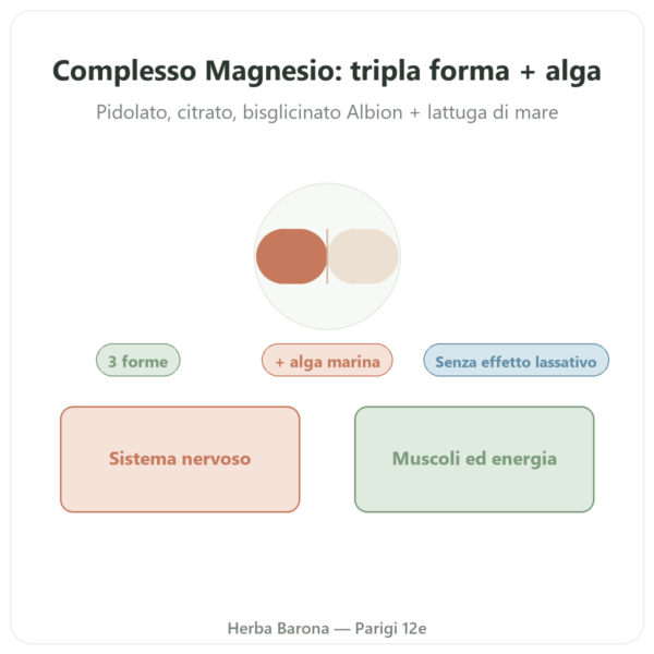 Complesso Magnesio – Nutrimuscle – 60 capsule presentazione Paris Herba Barona