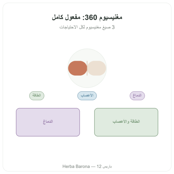 مركب المغنيزيوم 360 – Dynveo – 120 كبسولة عرض المنتج Paris Herba Barona