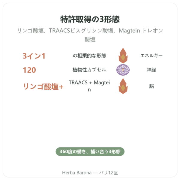 マグネシウム 360 コンプレックス – Dynveo – 120カプセル benefits and key facts Paris Herba Barona
