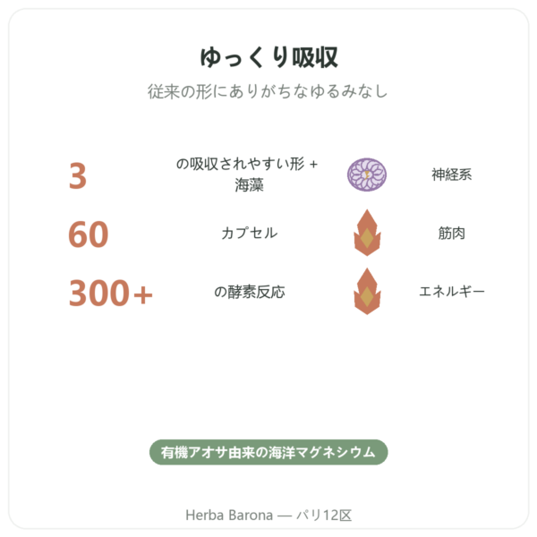 Complexe Magnesium – Nutrimuscle – 60カプセル benefits and key facts Paris Herba Barona