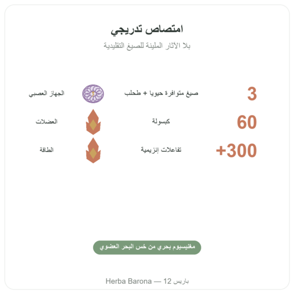 مركّب المغنيسيوم – Nutrimuscle – 60 كبسولة الفوائد والمعطيات الرئيسية Paris Herba Barona