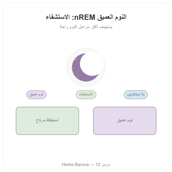 مركّب النوم العميق nREM – Dynveo – 60 كبسولة عرض المنتج Paris Herba Barona
