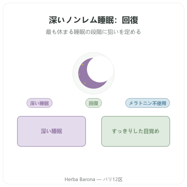 ディープスリープ nREM コンプレックス – Dynveo – 60カプセル presentation Paris Herba Barona