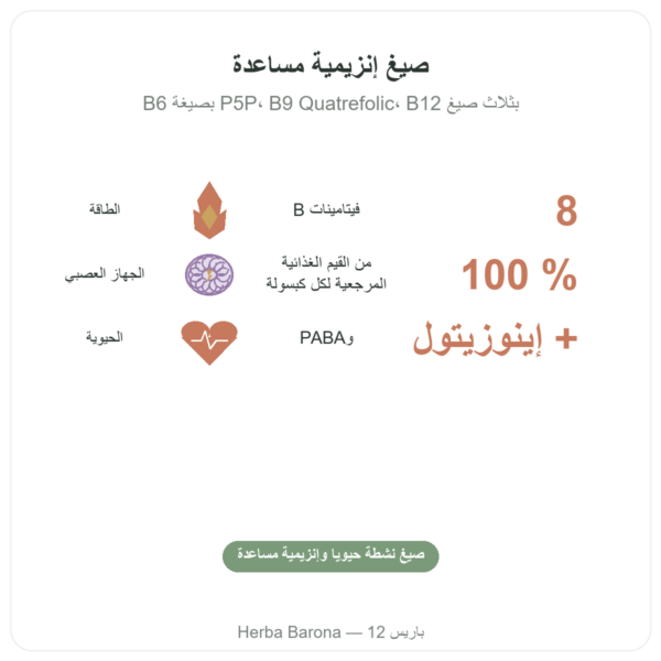 مركّب فيتامينات B – Multi B – 60 كبسولة – Dynveo الفوائد والمعطيات الرئيسية Paris Herba Barona
