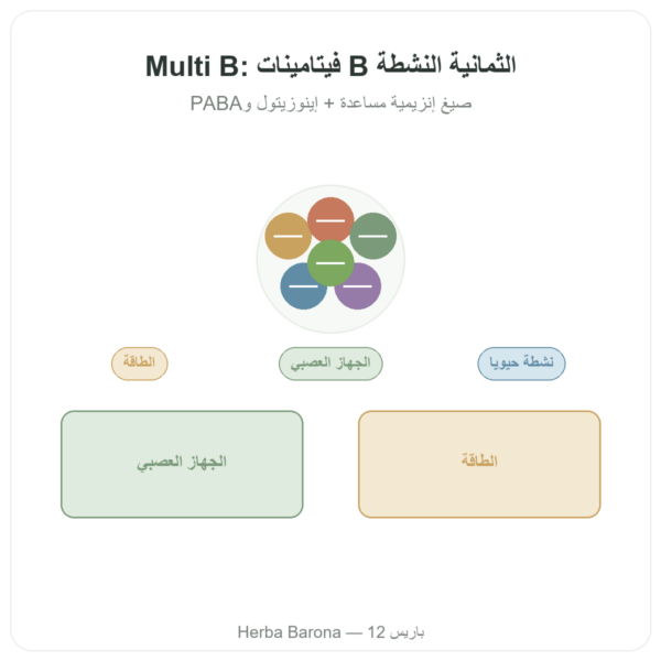 مركّب فيتامينات B – Multi B – 60 كبسولة – Dynveo عرض المنتج Paris Herba Barona