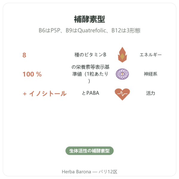 Dynveo ビタミンB群コンプレックス Multi B 60カプセル benefits and key facts Paris Herba Barona
