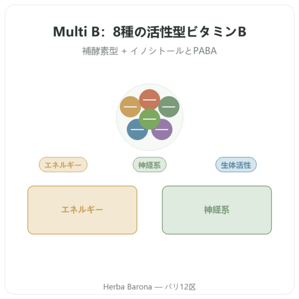 Dynveo ビタミンB群コンプレックス Multi B 60カプセル presentation Paris Herba Barona