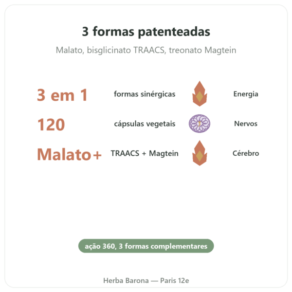 Complexo Magnésio 360 – Dynveo – 120 cápsulas benefícios e dados principais Paris Herba Barona