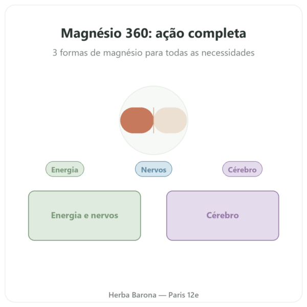 Complexo Magnésio 360 – Dynveo – 120 cápsulas apresentação Paris Herba Barona