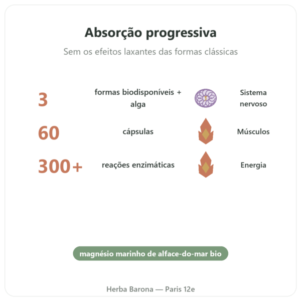 Complexo Magnésio – Nutrimuscle – 60 cápsulas benefícios e dados principais Paris Herba Barona