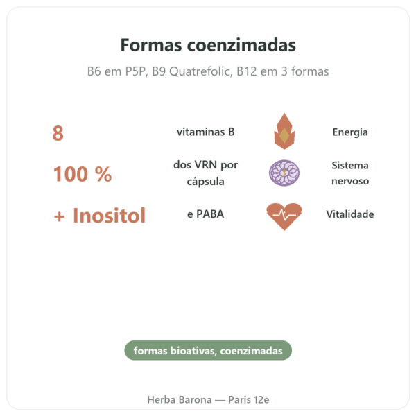 Complexo vitaminas B – Multi B – 60 cápsulas – Dynveo benefícios e dados principais Paris Herba Barona
