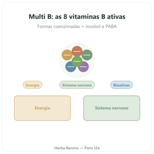 Complexo vitaminas B – Multi B – 60 cápsulas – Dynveo apresentação Paris Herba Barona