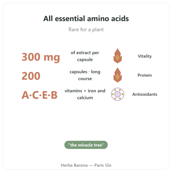 Concentrated Moringa 300mg - 200 capsules benefits and key facts Paris Herba Barona