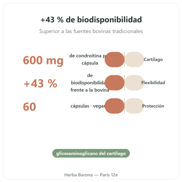 Condroitina Sulfato 600 mg – 60 cápsulas – Dynveo beneficios y datos clave Paris Herba Barona