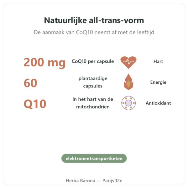 CoQ10 200 mg NOW Foods - 60 plantaardige capsules voordelen en kerngegevens Paris Herba Barona