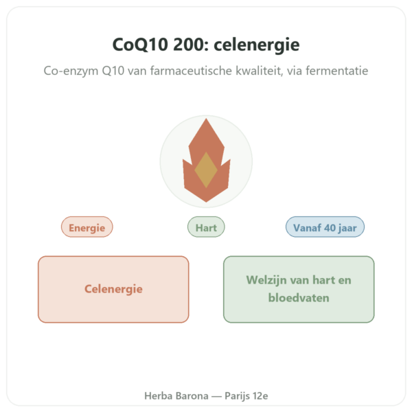 CoQ10 200 mg NOW Foods - 60 plantaardige capsules presentatie Paris Herba Barona