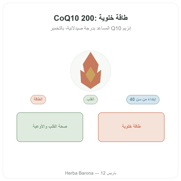 CoQ10 200mg NOW Foods 60 كبسولة نباتية - إنزيم Q10 المساعد عرض المنتج Paris Herba Barona