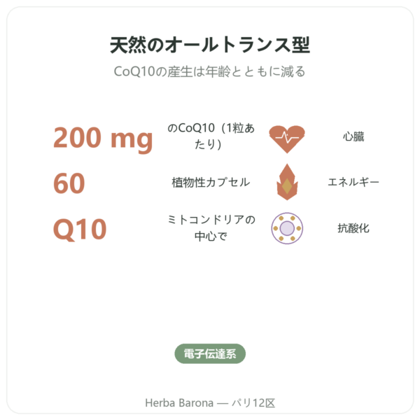 CoQ10 200mg NOW Foods 植物性カプセル60粒 – コエンザイムQ10 benefits and key facts Paris Herba Barona