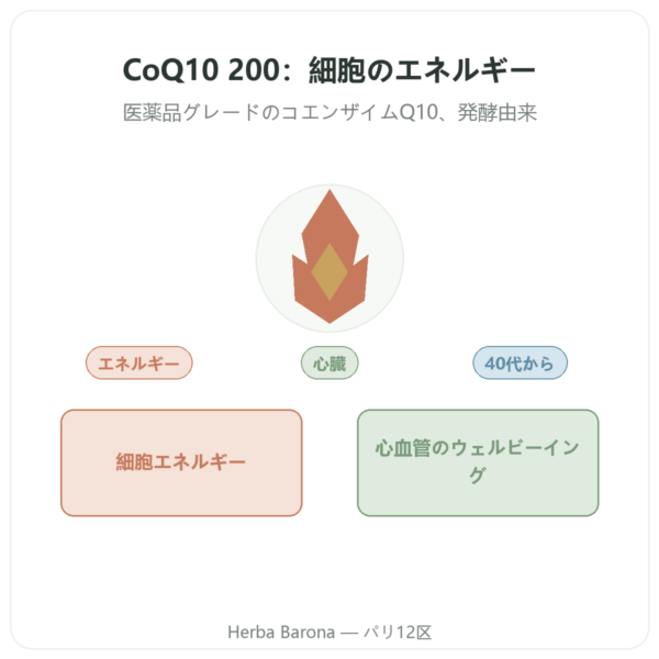 CoQ10 200mg NOW Foods 植物性カプセル60粒 – コエンザイムQ10 presentation Paris Herba Barona