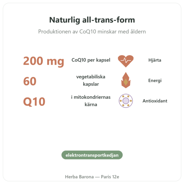 CoQ10 200 mg NOW Foods 60 vegetabiliska kapslar – Koenzym Q10 fördelar och nyckelfakta Paris Herba Barona