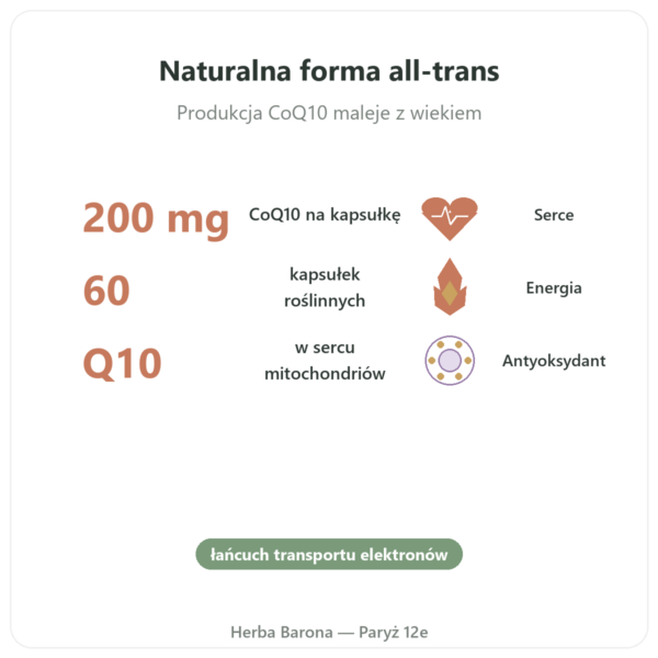 CoQ10 200 mg NOW Foods 60 kapsułek – Koenzym Q10 korzyści i najważniejsze fakty Paris Herba Barona