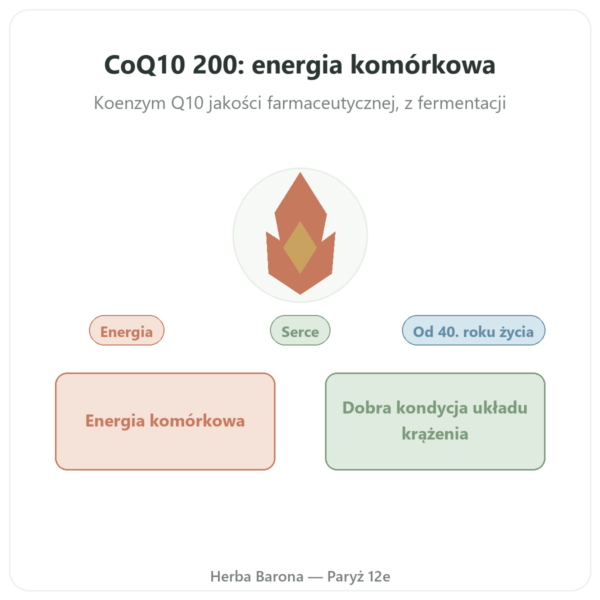 CoQ10 200 mg NOW Foods 60 kapsułek – Koenzym Q10 prezentacja Paris Herba Barona