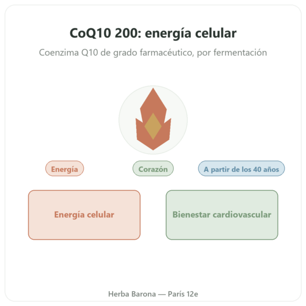 CoQ10 200 mg – NOW Foods – 60 Cápsulas Vegetales presentación Paris Herba Barona