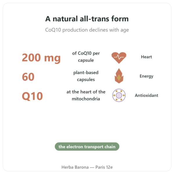 CoQ10 200mg – NOW Foods – 60 vegetable capsules benefits and key facts Paris Herba Barona