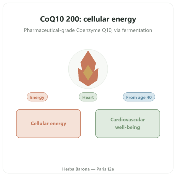 CoQ10 200mg – NOW Foods – 60 vegetable capsules presentation Paris Herba Barona