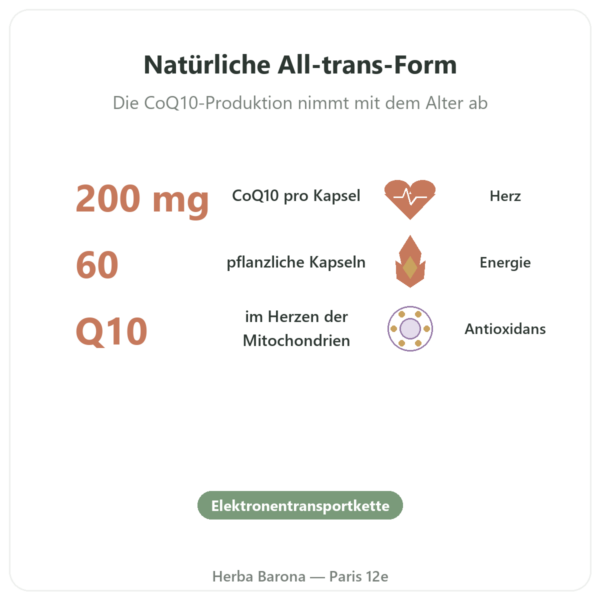 CoQ10 200 mg – Now Foods – 60 pflanzliche Kapseln Vorteile und Fakten Paris Herba Barona