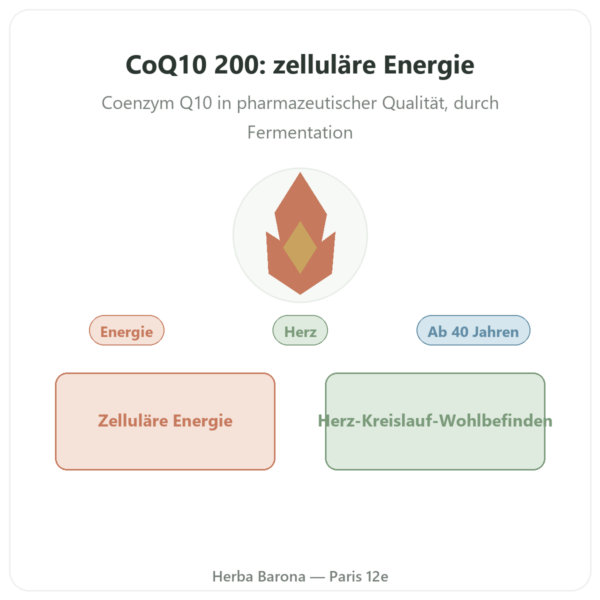 CoQ10 200 mg – Now Foods – 60 pflanzliche Kapseln Vorstellung Paris Herba Barona