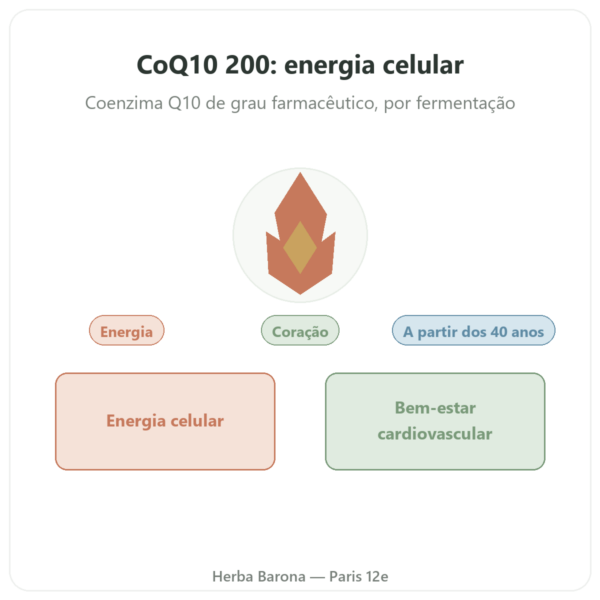 CoQ10 200 mg – NOW Foods – 60 cápsulas vegetais – Coenzima Q10 apresentação Paris Herba Barona