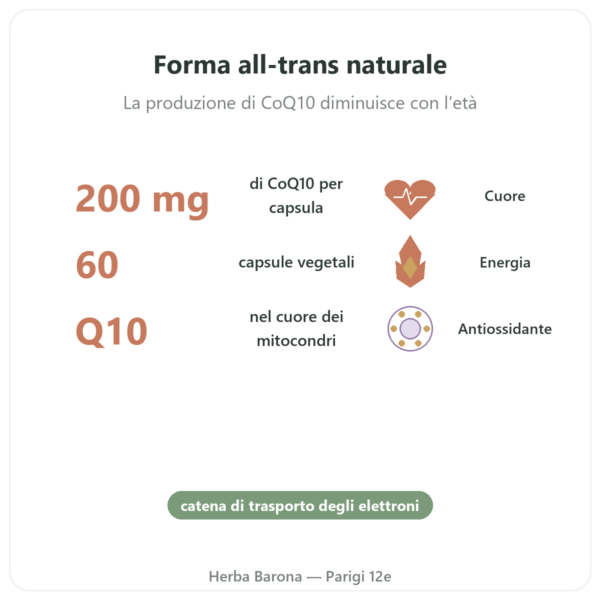 CoQ10 200 mg – NOW Foods – 60 Capsule Vegetali – Coenzima Q10 benefici e dati chiave Paris Herba Barona