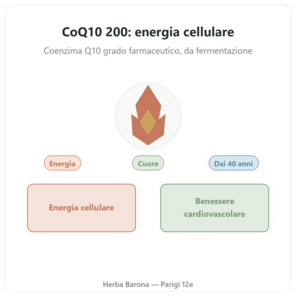 CoQ10 200 mg – NOW Foods – 60 Capsule Vegetali – Coenzima Q10 presentazione Paris Herba Barona