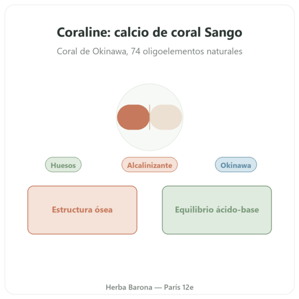 Coraline – Calcio de Coral – Distriform' presentación Paris Herba Barona