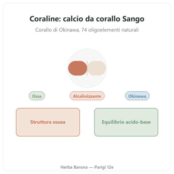 Coraline – Calcio di Corallo – Distriform presentazione Paris Herba Barona