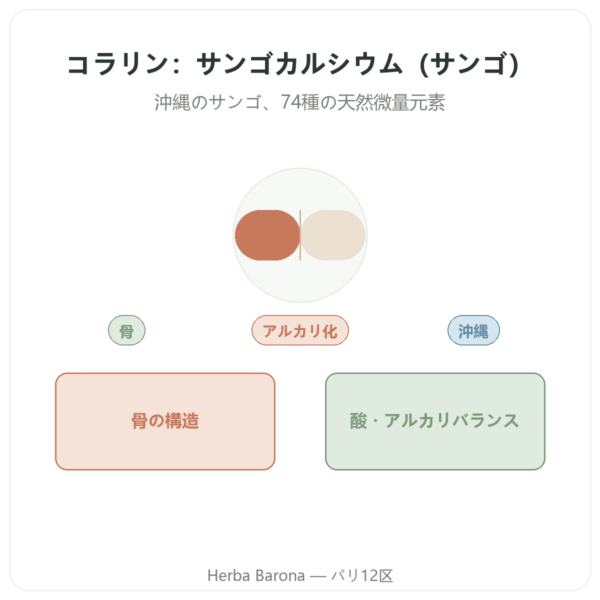 Coraline – 珊瑚カルシウム – Distriform’ presentation Paris Herba Barona