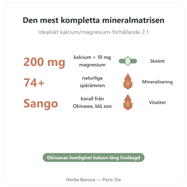 Coraline – Korallkalcium – Distriform' fördelar och nyckelfakta Paris Herba Barona