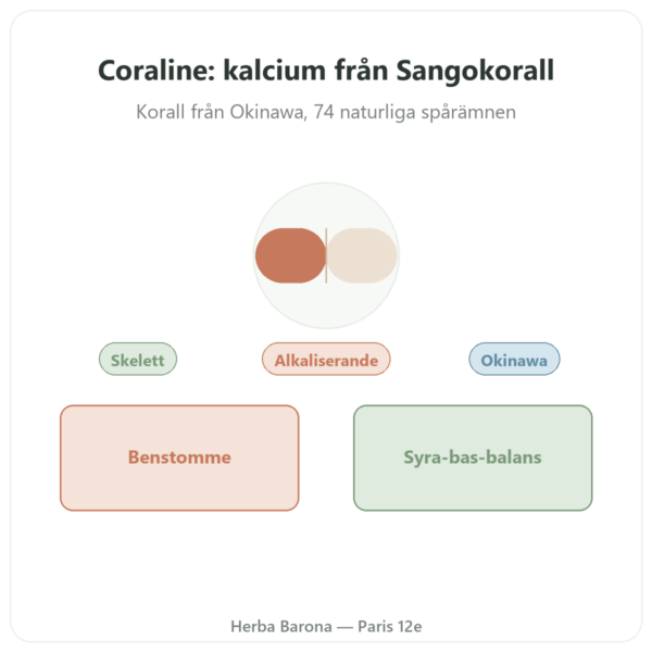 Coraline – Korallkalcium – Distriform' presentation Paris Herba Barona