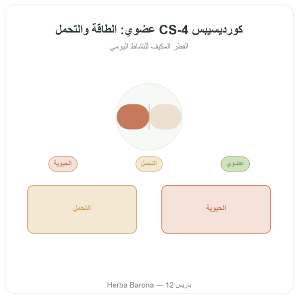 كورديسيبس عضوي مركز – سلالة CS-4 – Dynveo – 60 كبسولة عرض المنتج Paris Herba Barona