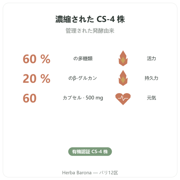 オーガニック冬虫夏草 濃縮エキス – CS-4株 – Dynveo – 60カプセル benefits and key facts Paris Herba Barona