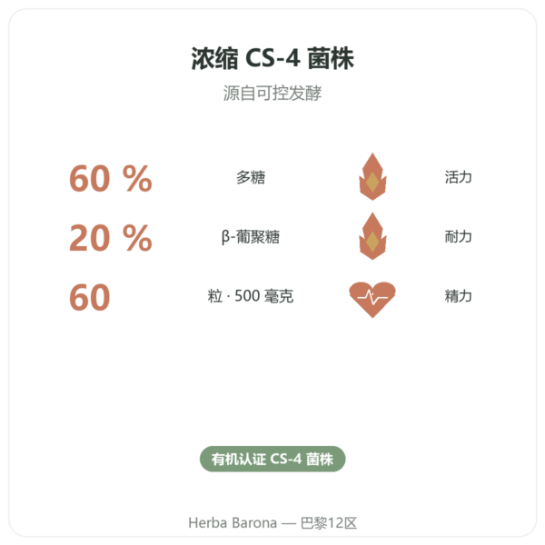 有机浓缩冬虫夏草 – CS-4 菌株 – Dynveo – 60粒胶囊 功效与数据 Paris Herba Barona