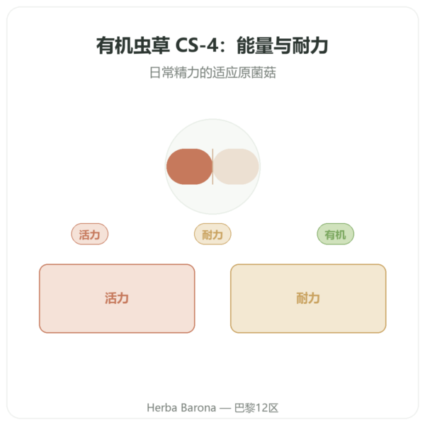 有机浓缩冬虫夏草 – CS-4 菌株 – Dynveo – 60粒胶囊 产品展示 Paris Herba Barona