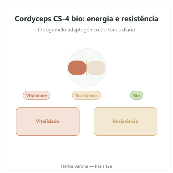 Cordyceps Bio Concentrado Estirpe CS-4 Dynveo 60 cápsulas apresentação Paris Herba Barona