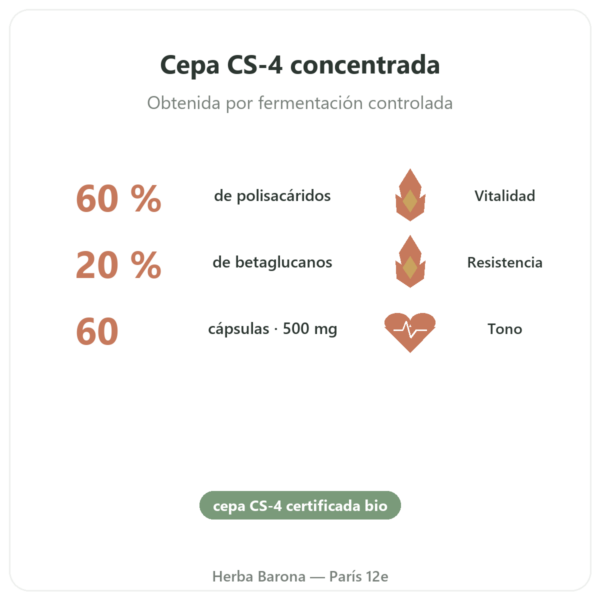 Cordyceps BIO concentrado – Cepa CS-4 – Dynveo – 60 cápsulas beneficios y datos clave Paris Herba Barona